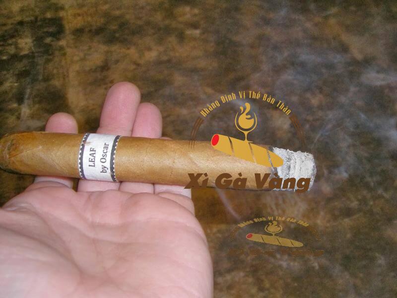 Đánh giá từng giai đoạn hút của Leaf by Oscar Toro Connecticut